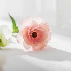 3个“没必要”，缓解中年焦虑