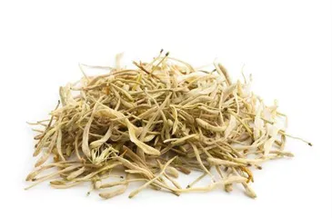 金银花:清凉消暑的“药铺小神仙”1