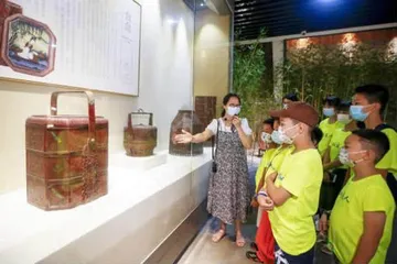 非遗绽新彩  献礼二十大13
