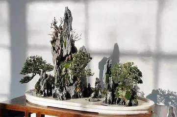 石头盆景醉晚年