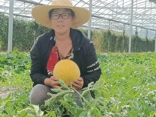 安徽芜湖:她们,在田野写下最精彩的故事!1