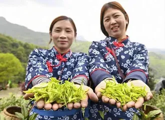 安徽芜湖:她们,在田野写下最精彩的故事!2