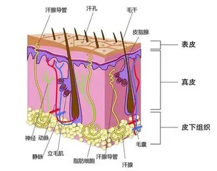 有一种忧伤，叫“白发恐慌”