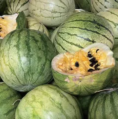 一口籽瓜，润上心头