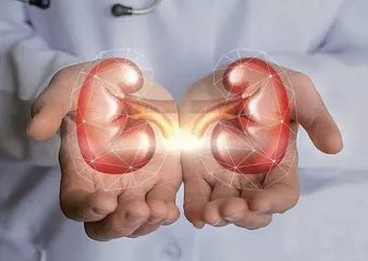 上海:2025年内编写“体重管理”健康科普手册 等3