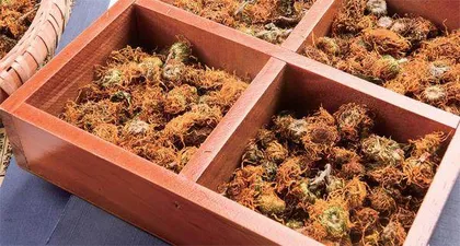 养生不能迷信上品药3