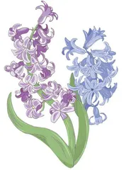 春意玲珑