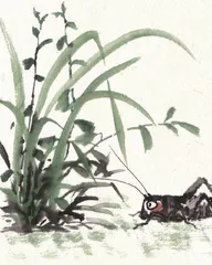 蝉和蟋蟀