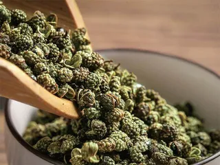再识萸菊话重阳1