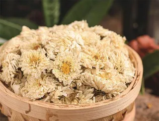 再识萸菊话重阳3