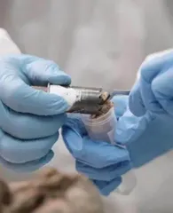 环球资讯
