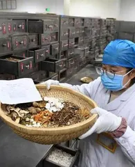 没有迹象表明XBB毒株会引发更严重疾病1
