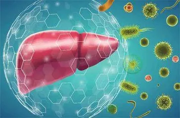 没有迹象表明XBB毒株会引发更严重疾病3
