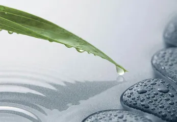 调和阴阳，畅通水道1