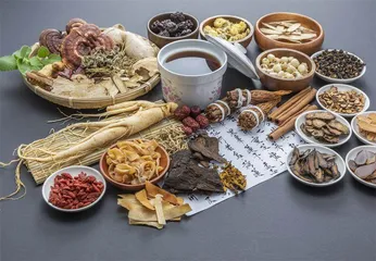 “糖友”进补无惧甘味药