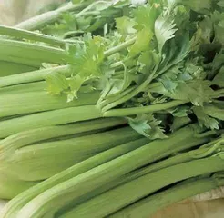 刮油食物别乱吃,小心没解腻还伤胃4