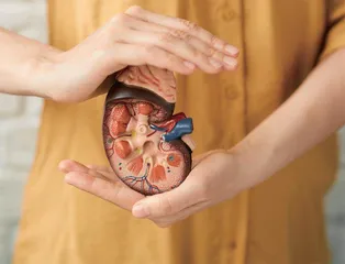 养肾，让痛风减痛不复发