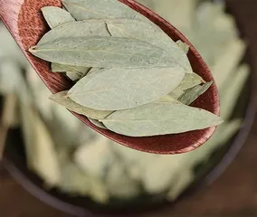 中草药里的“留学生”2