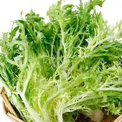 夏季“食而不化”，多吃苦、点按穴位促消化2
