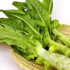 夏季“食而不化”，多吃苦、点按穴位促消化3