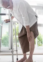 千金难买老来瘦？存“肌”才能更长寿
