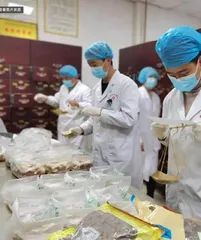国家呼吸医学中心厦门协同中心建立1