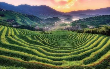 叹龙脊之致,赏漓江之美1