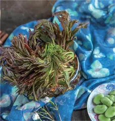 芽启鲜，春咬尖
