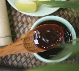 秋季进补,这些人可以试试膏方1