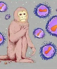 猴痘肆虐，全球已报告确诊病例1.4万例