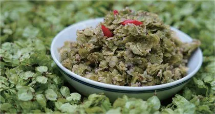 北京:荠榆共话春滋味