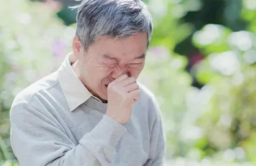 春天来了,你的鼻子还好吗2
