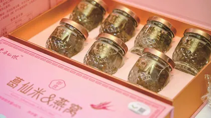 创新之都遇到山林之味 葛仙米高端餐饮2025巡鉴会深圳站成功举办3