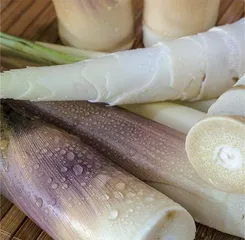 鲜美春菜新上市，尝鲜还得“悠着点”1