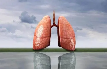 世界慢阻肺日——肺系生命 等