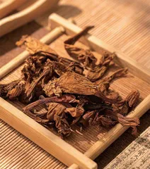 行血通经祛痰火,夏日凌霄花凉血1