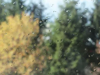 夏末秋初湿气重，如何赶走百病之源1