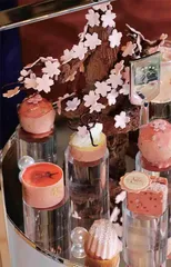 春华绽放，樱花浪漫