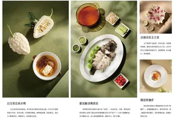 绿影微染，夏时知味