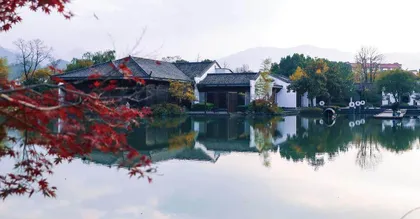 被城市困住的舌头出走了
