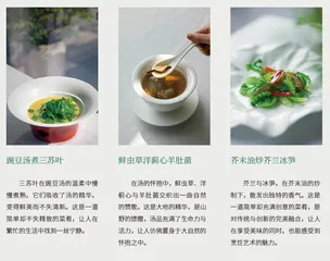 夏日蔬韵 风味素食的清新交响