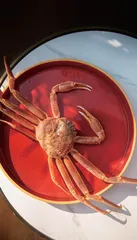 以蟹入画境，食味宋韵如雅仙