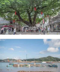 温州：温润且广博海洋聚风味