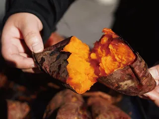 冬日暖心食尚：传统甜品的滋养与愉悦