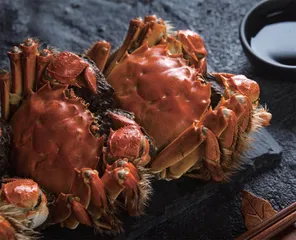 丹桂飘香蟹正肥