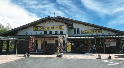 日本最初茶栽培地探访记（上）