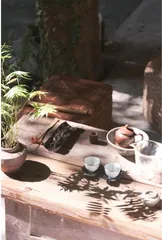 开启24小时茶生活3