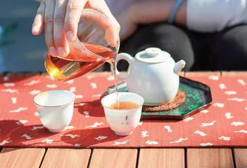 晋安河畔，茶间漫游
