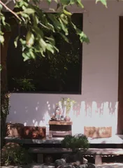 开启24小时茶生活4
