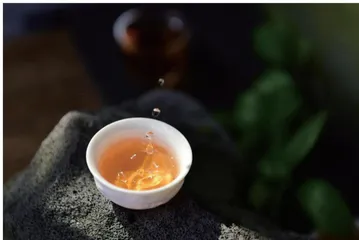 开启24小时茶生活5